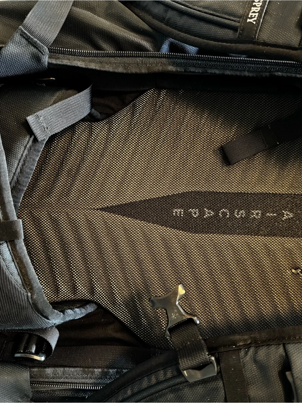 Black Osprey Farpoint 40 Men's Travel Backpack